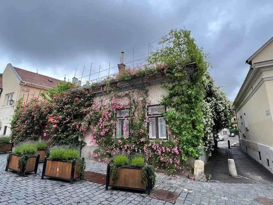 Downtown Romantic Székesfehérvár 外观 照片